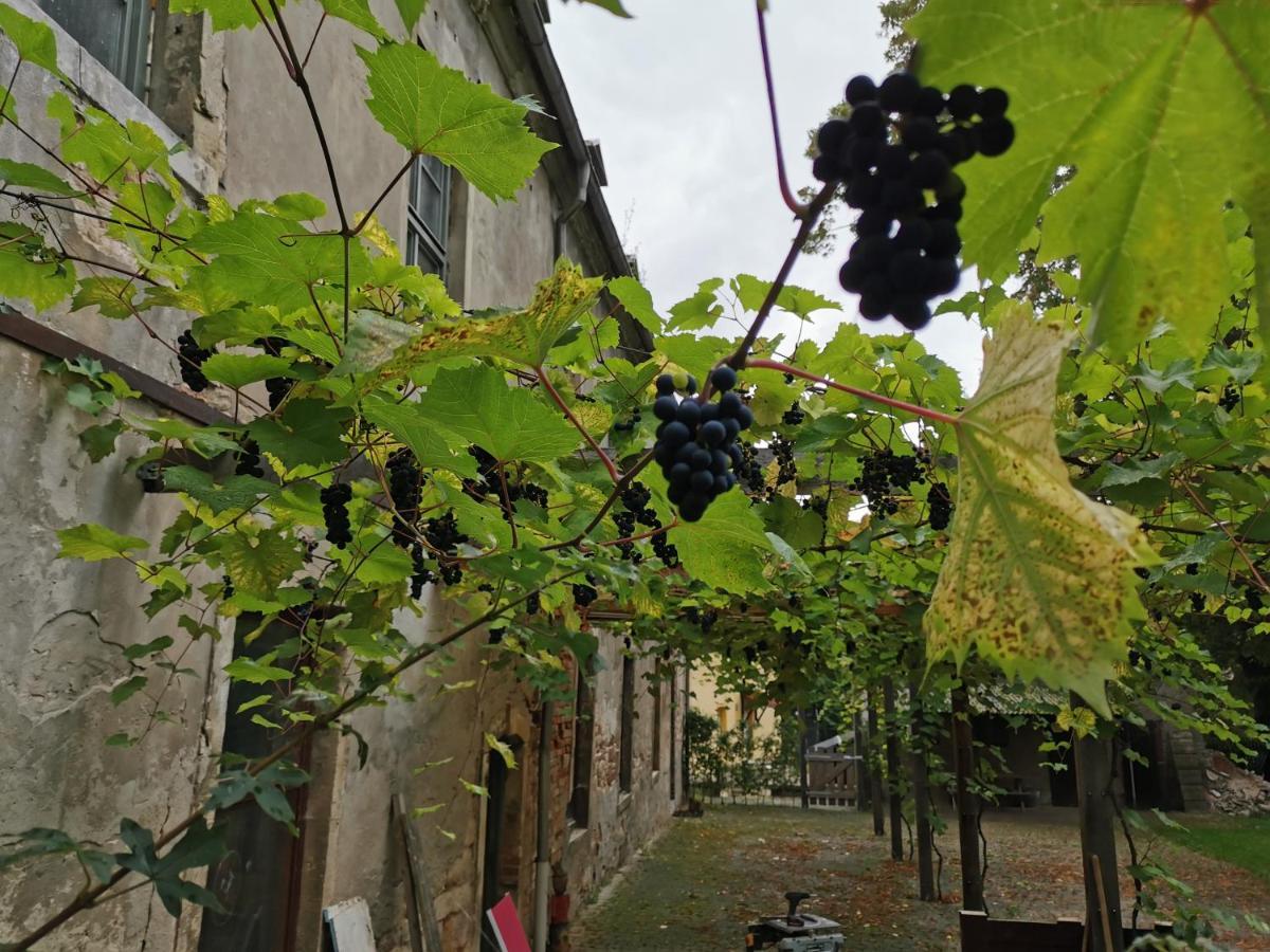 Schloss Groebitz Grobitz Ngoại thất bức ảnh